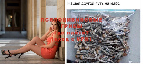 твердый Липки