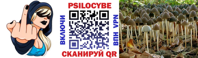 Купить где  Льгов  Галлюциногенные грибы мухоморы 